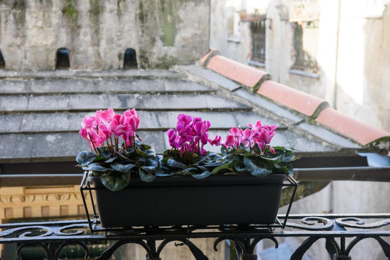 B&B Piccoli Leoni Janov Exteriér fotografie