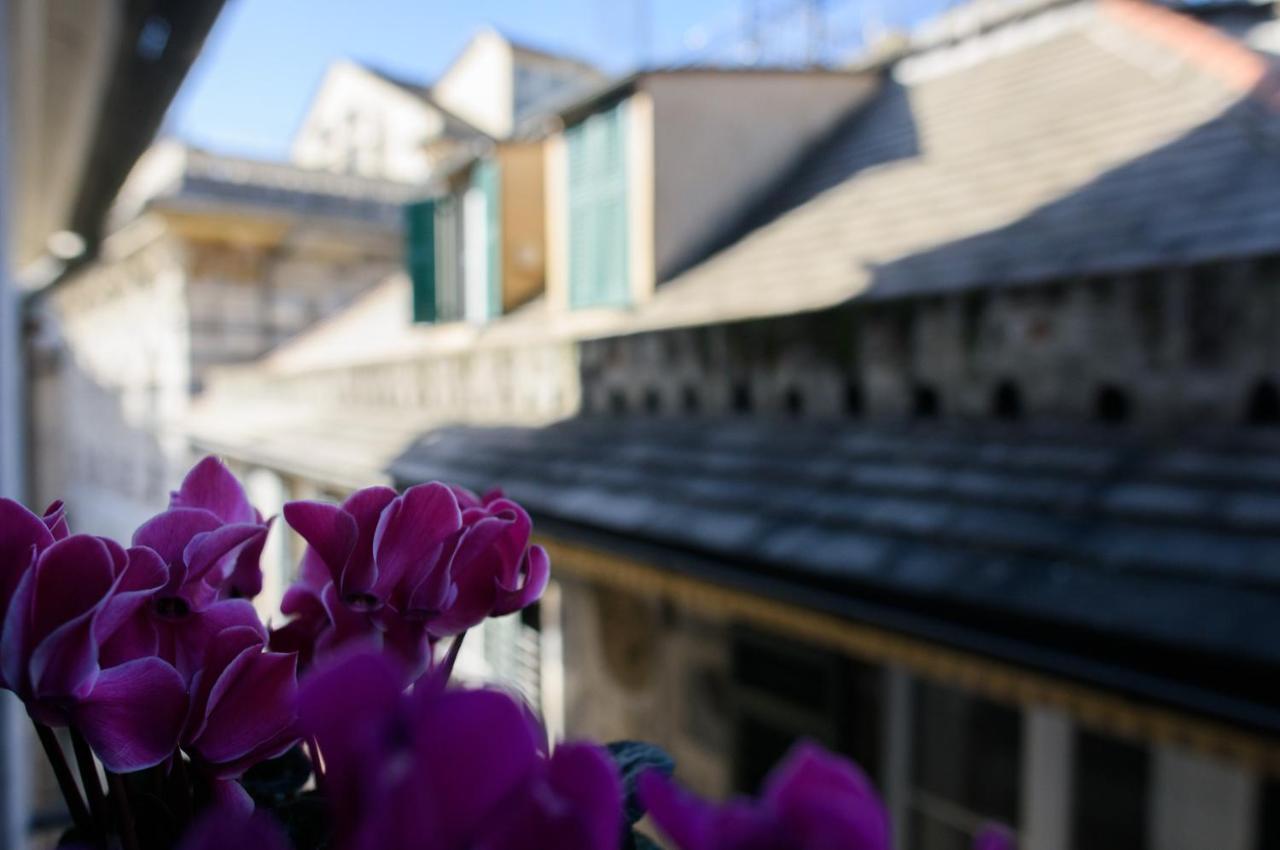 B&B Piccoli Leoni Janov Exteriér fotografie